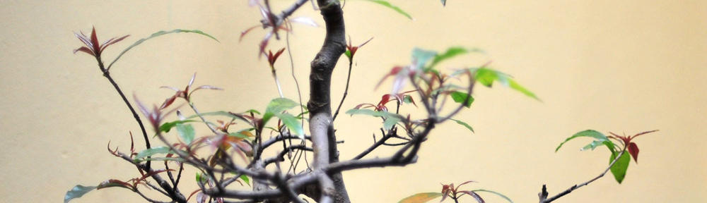 PT. Karya Riset dan Publikasi Indonesia (KRPI)